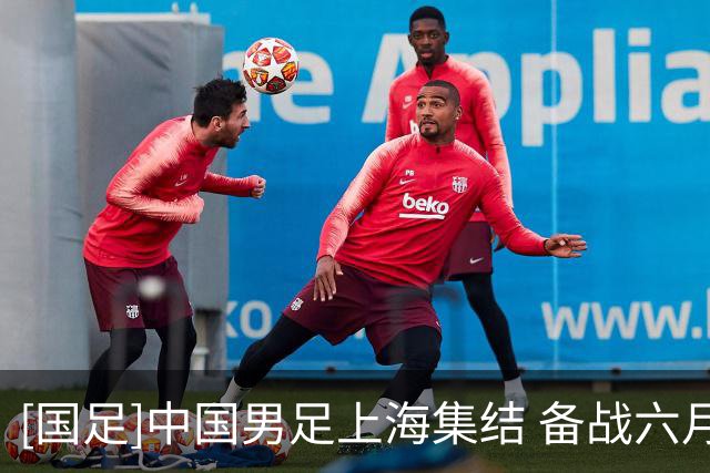 [国足]中国男足上海集结 备战六月热身赛